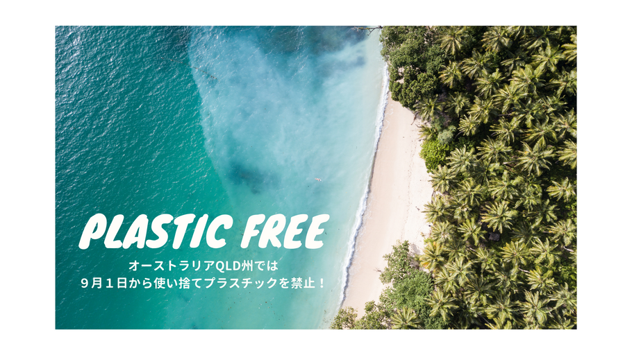 使い捨てプラスチック禁止！